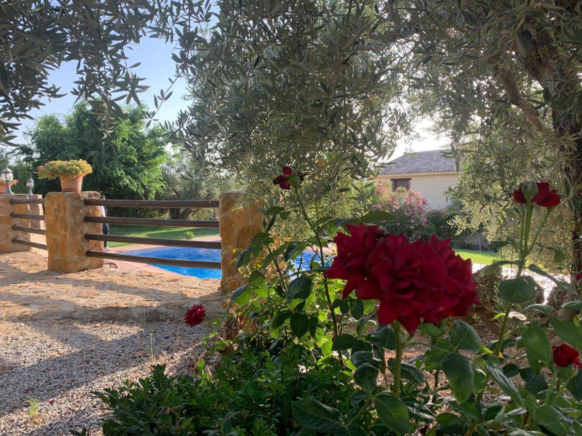 Casas Rurales Cazorla-Alcon Pozo Alcón Esterno foto